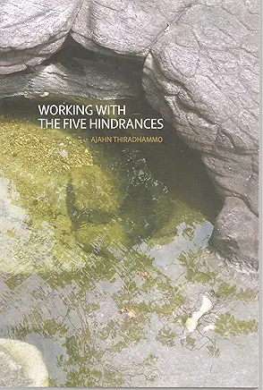 Working with the Five Hindrances